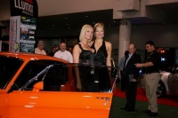 Hostese  SEMA show, Las Vegas  2008