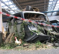 Citromobile Nizozemska