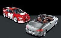 Peugeot 307 WRC